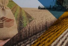 рф готує масову конфіскацію земельних паїв на окупованій Луганщині — ЦНС