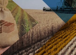 рф готує масову конфіскацію земельних паїв на окупованій Луганщині — ЦНС