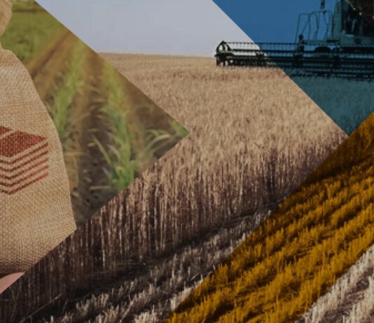 рф готує масову конфіскацію земельних паїв на окупованій Луганщині — ЦНС