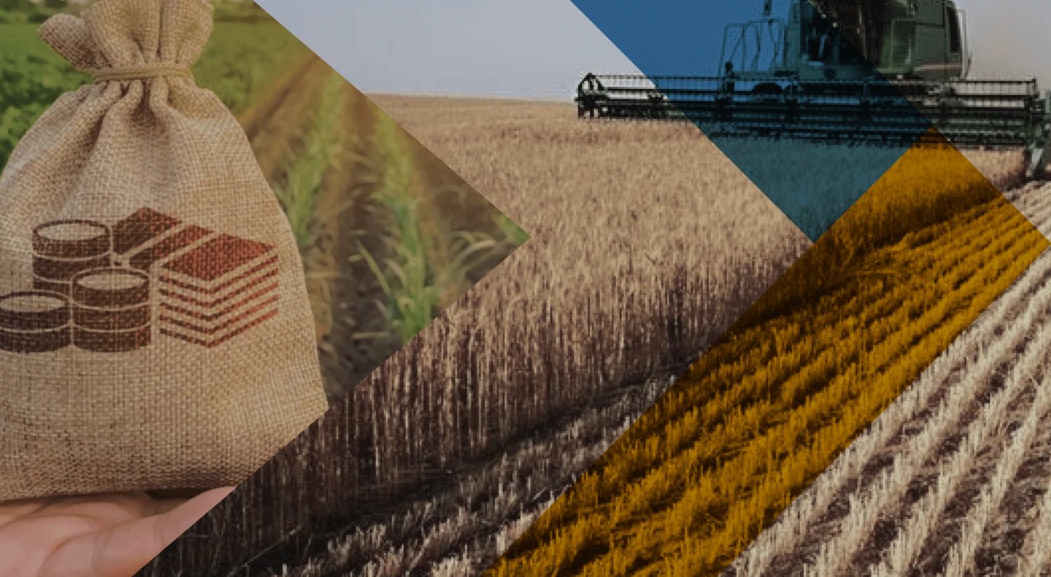 рф готує масову конфіскацію земельних паїв на окупованій Луганщині — ЦНС