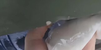 Партизан АТЕШ вивів з ладу російську спецтехніку з обладнанням "Омут" на Брянщині