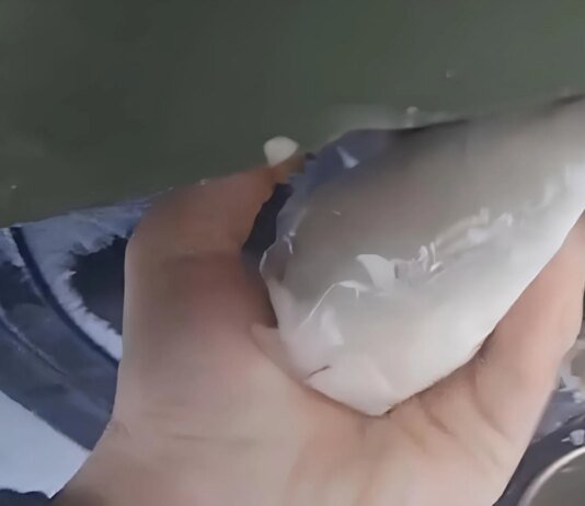 Партизан АТЕШ вивів з ладу російську спецтехніку з обладнанням "Омут" на Брянщині