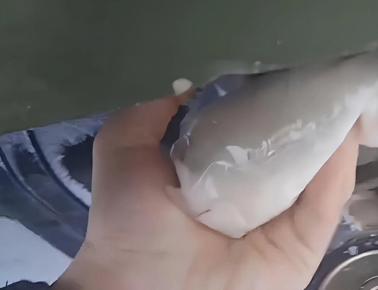 Партизан АТЕШ вивів з ладу російську спецтехніку з обладнанням "Омут" на Брянщині