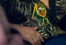 Понад 130 тис. українців евакуйовано за рік, житло потрібне 4,6 млн переселенців — віцепрем'єр