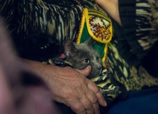 Понад 130 тис. українців евакуйовано за рік, житло потрібне 4,6 млн переселенців — віцепрем'єр