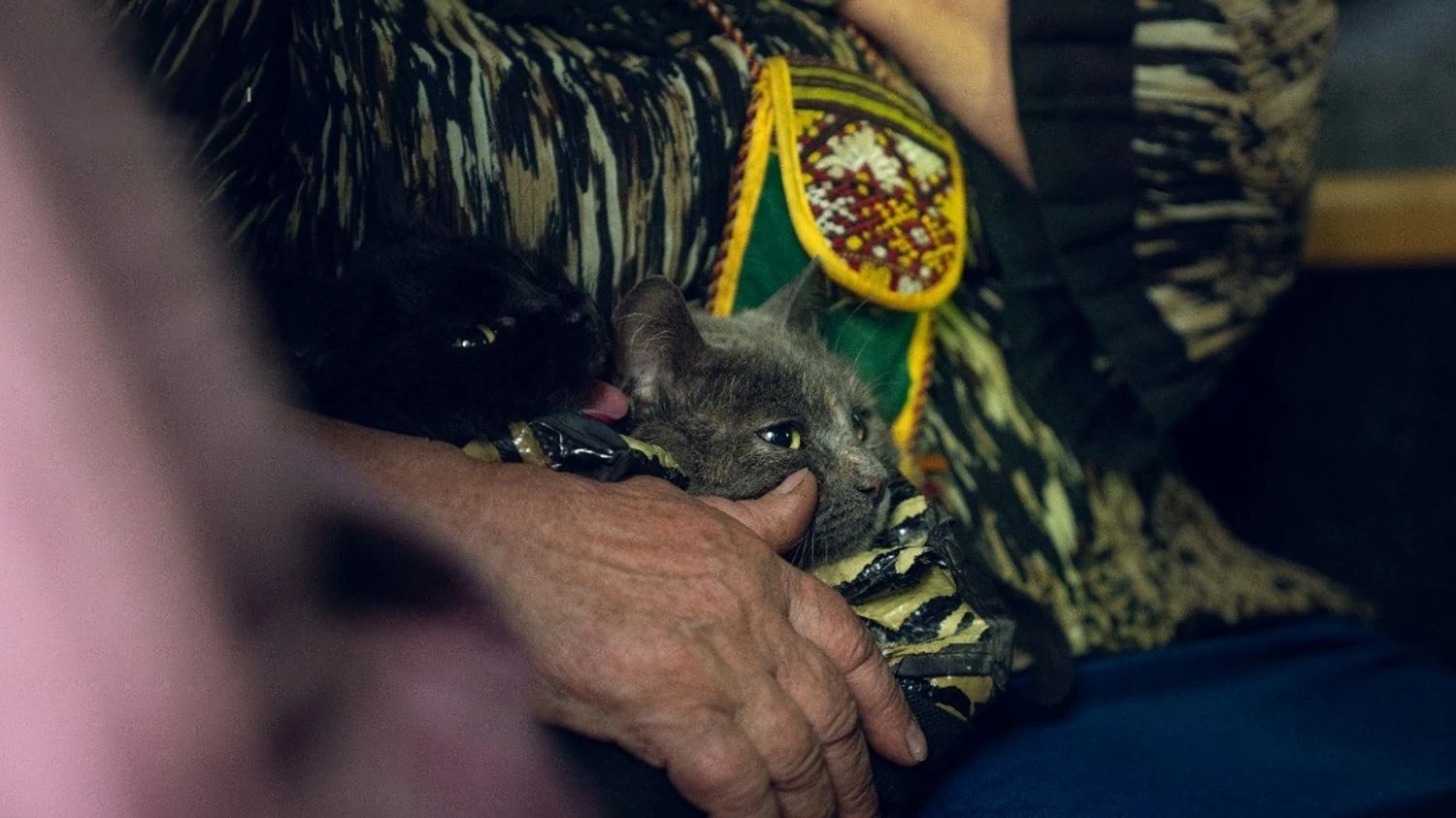 Понад 130 тис. українців евакуйовано за рік, житло потрібне 4,6 млн переселенців — віцепрем'єр