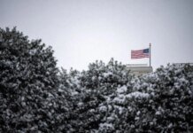 Глобальні мита Трампа набули чинності на рівні 10%