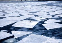 Двоє чоловіків на квадроциклі провалилися під лід на Дніпрі