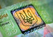 Цифрову гривню впровадять після війни – НБУ зосередився на регулюванні віртуальних активів