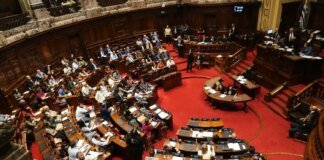 Уругвай та Аргентина першими ратифікували історичну торговельну угоду між Меркосур та ЄС