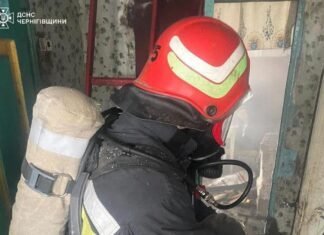 На Чернігівщині внаслідок пожежа троє людей отруїлися чадним газом: постраждалих госпіталізували