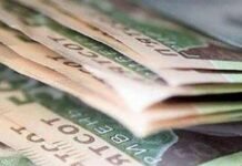 Фіктивні співробітники заради зарплат: судитимуть директорку ніжинського дитсатка