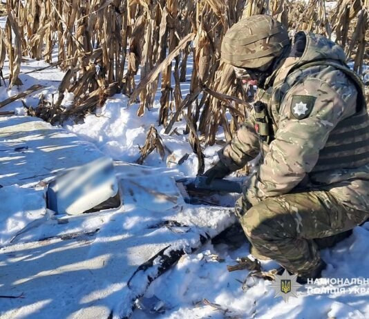 У Чернігівському та Прилуцькому районах знешкодили бойові частини збитих російських дронів