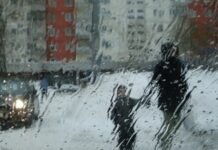 Жовтий рівень небезпеки: синоптики попереджають про ожеледь і туман на Чернігівщині