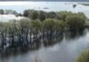 Локальні підтоплення та коливання рівня води: прогноз весняної повені на Десні у Чернігівській області