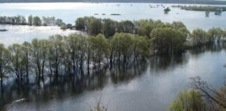Локальні підтоплення та коливання рівня води: прогноз весняної повені на Десні у Чернігівській області