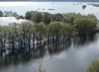 Локальні підтоплення та коливання рівня води: прогноз весняної повені на Десні у Чернігівській області