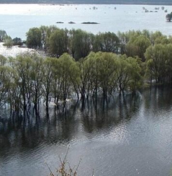 Локальні підтоплення та коливання рівня води: прогноз весняної повені на Десні у Чернігівській області