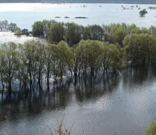 Локальні підтоплення та коливання рівня води: прогноз весняної повені на Десні у Чернігівській області