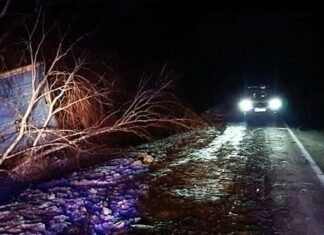 На Чернігівщині вантажівка врізалася в дерево: загинув 27-річний водій