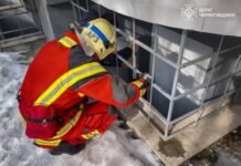 Жалібно нявчав і не міг вибратися: у Чернігові рятувальники дістали кота з пастки