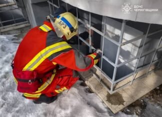 Жалібно нявчав і не міг вибратися: у Чернігові рятувальники дістали кота з пастки