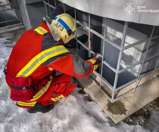 Жалібно нявчав і не міг вибратися: у Чернігові рятувальники дістали кота з пастки
