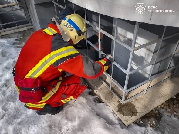 Жалібно нявчав і не міг вибратися: у Чернігові рятувальники дістали кота з пастки