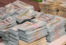 И.о. главы Госэкоинспекции заявил, что нашел $653 000 в гараже бабушки. Его проверит ГБР