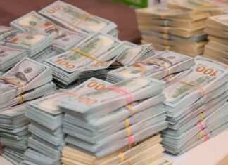 И.о. главы Госэкоинспекции заявил, что нашел $653 000 в гараже бабушки. Его проверит ГБР