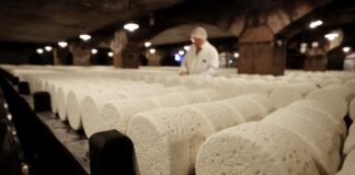 Европейские сыры не пострадают: Китай значительно уменьшил пошлины на некоторую молочку из ЕС