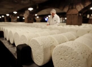 Европейские сыры не пострадают: Китай значительно уменьшил пошлины на некоторую молочку из ЕС