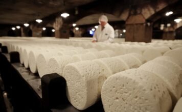 Европейские сыры не пострадают: Китай значительно уменьшил пошлины на некоторую молочку из ЕС