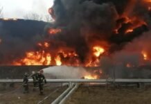 За чотири роки повномасштабної війни довкіллю Чернігівщини завдано понад 32 млрд грн збитків