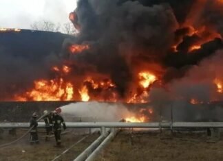 За чотири роки повномасштабної війни довкіллю Чернігівщини завдано понад 32 млрд грн збитків