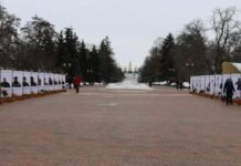 На Алеї Героїв у Чернігові оновили експозицію: додали ще 60 історій полеглих воїнів