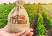 На Чернігівщині 51 агропідприємець отримав кредити на розвиток на суму 0,5 млрд грн