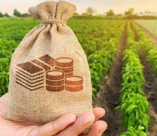 На Чернігівщині 51 агропідприємець отримав кредити на розвиток на суму 0,5 млрд грн