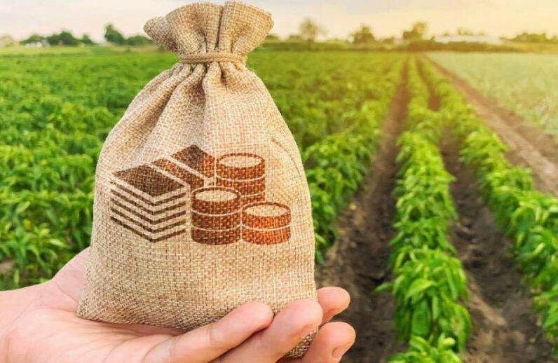 На Чернігівщині 51 агропідприємець отримав кредити на розвиток на суму 0,5 млрд грн