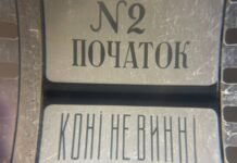 Сенсаційні знахідки у Чернігові: знайдені рідкісні українськомовні копії фільмів за творами Коцюбинського