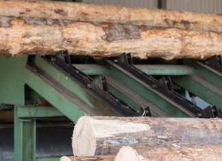 За контрабанду лісу до Європи: у депутата з Чернігівщини арештували 39 ділянок, два будинки та автомобілі