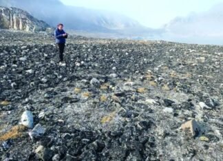 Покорили Гренландию еще 4500 лет назад: археологи нашли доказательства (фото)