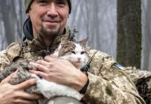 Хтось прибився, хтось народився в бліндажі: ОК «Північ» показало чотирилапих «побратимів»