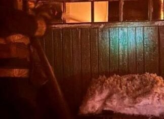 На Чернігівщині в пожежі загинув пенсіонер