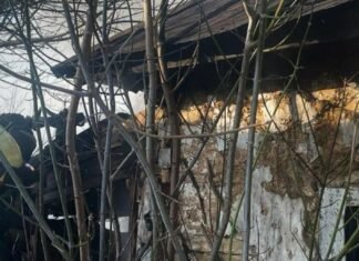 Необережність під час куріння: на Чернігівщині в пожежі загинула жінка