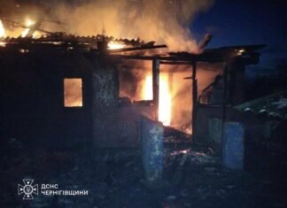На Чернігівщині під час пожежі загинула 3-річна дитина