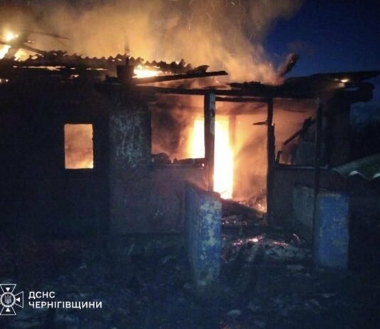 На Чернігівщині під час пожежі загинула 3-річна дитина