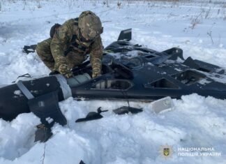 Впав на відкритій місцевості: у Чернігівському районі знешкодили бойову частину російського БпЛА