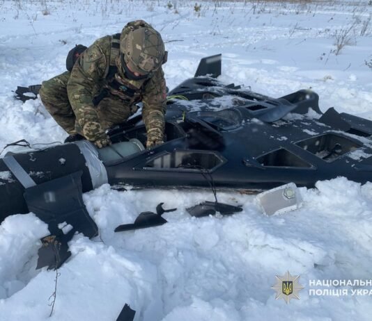 Впав на відкритій місцевості: у Чернігівському районі знешкодили бойову частину російського БпЛА