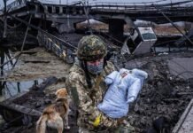 Пятый год войны, усталость Украины, крах России: 3 возможных сценария развития плана Трампа